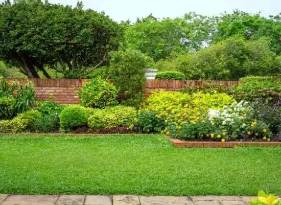 landscaping services Allenhurst